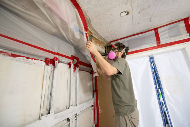 Best Mold Removal for HVAC Installations  in Millcreek, UT