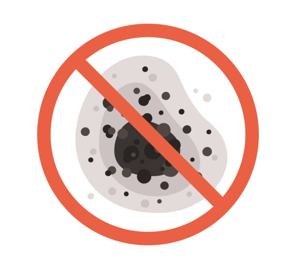 Best Mold-Related Health Consultation  in Millcreek, UT