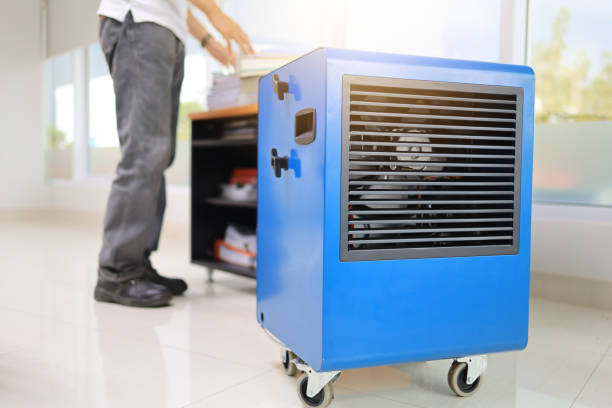 Best Black Mold Removal  in Millcreek, UT