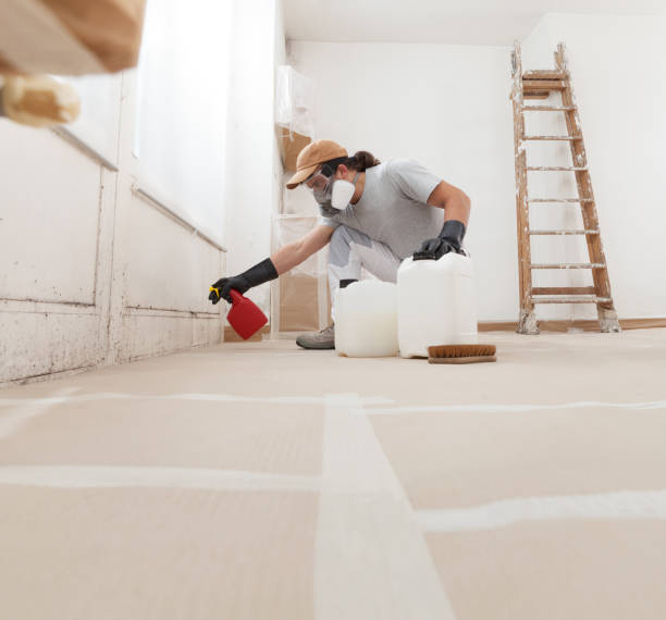 Professional Mold Removal in Millcreek, UT
