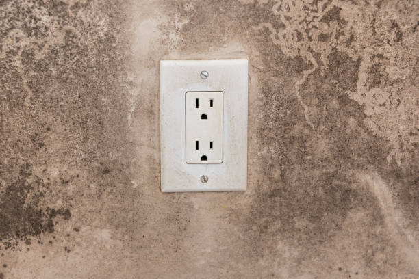 Best Dehumidification Services  in Millcreek, UT